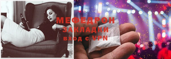 молекула духа Вяземский
