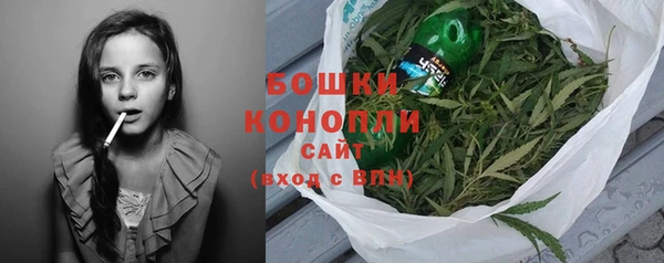 молекула духа Вяземский