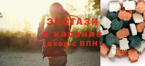 молекула духа Вяземский