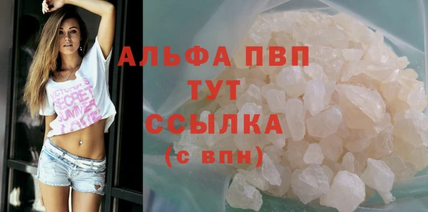 молекула духа Вяземский