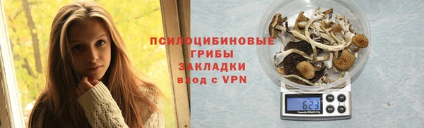 ECSTASY Сосновка