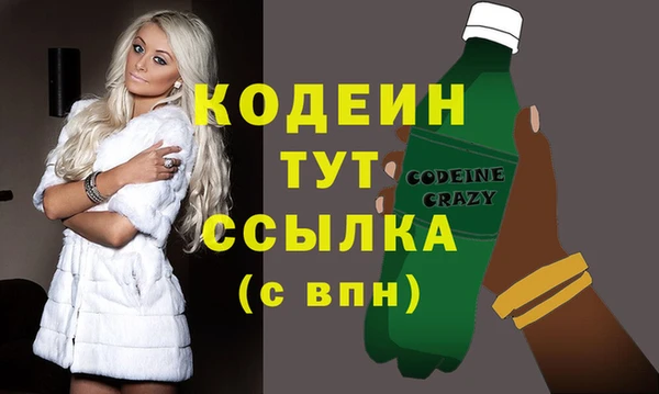 молекула духа Вяземский