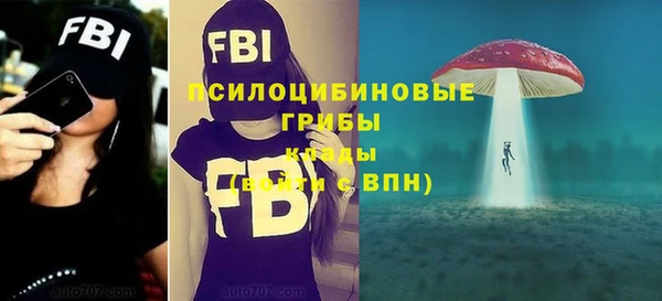 молекула духа Вяземский