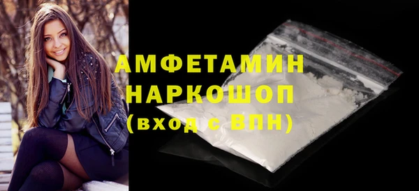 молекула духа Вяземский
