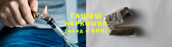 молекула духа Вяземский
