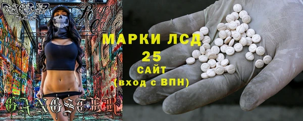 молекула духа Вяземский