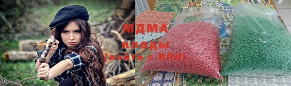молекула духа Вяземский
