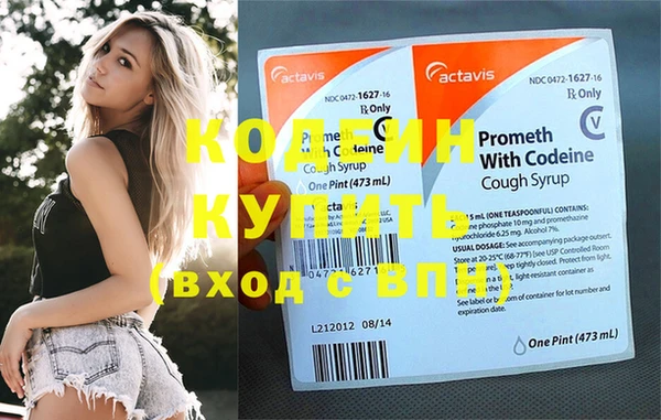 молекула духа Вяземский